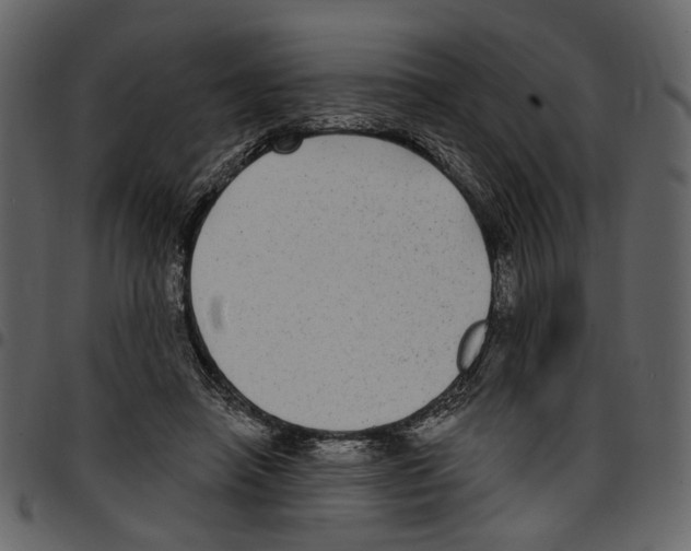 X0000097510450200803201619