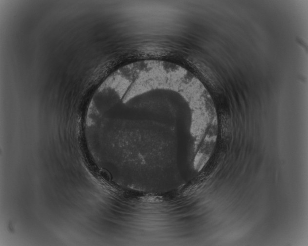 X0000097510451200803201619