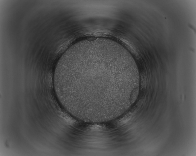 X0000097510453200803201619