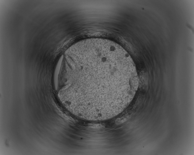 X0000097510454200803201619