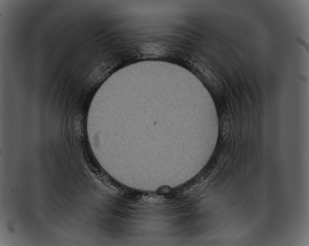 X0000097510455200803201619