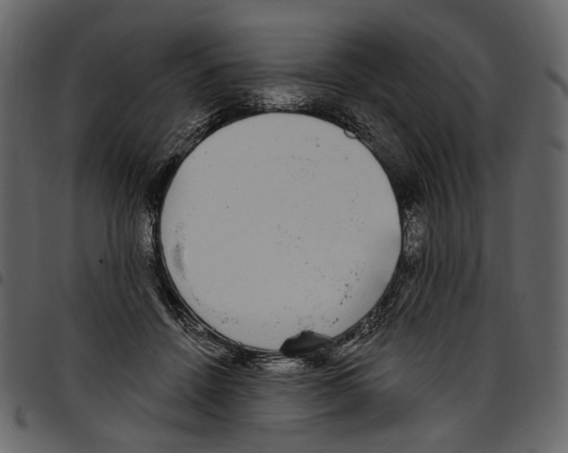 X0000097510456200803201619