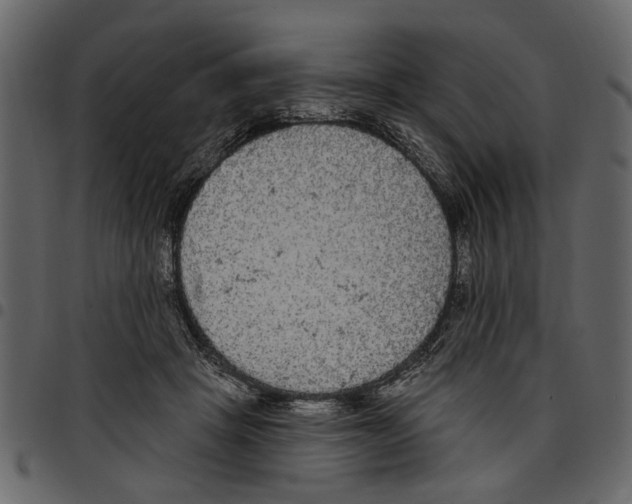 X0000097510457200803201619