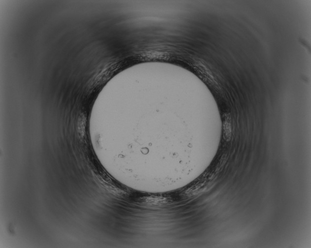 X0000097510458200803201619