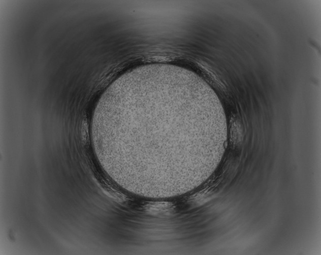 X0000097510459200803201619