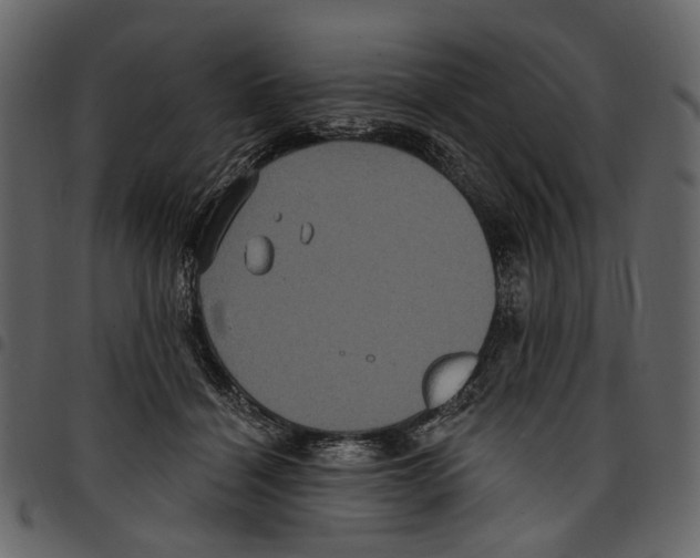 X0000097510460200803201619