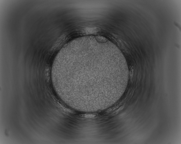 X0000097510462200803201619