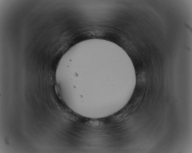 X0000097510464200803201619