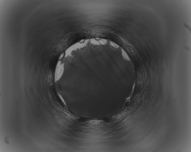 X0000097510465200803201619