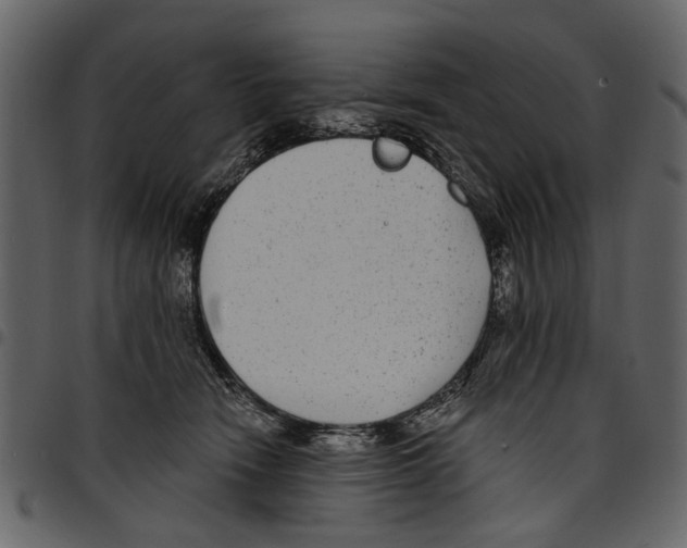 X0000097510466200803201619