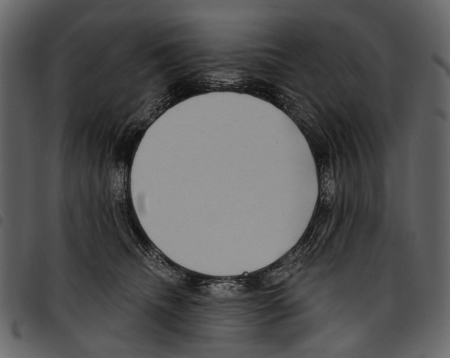 X0000097510468200803201619