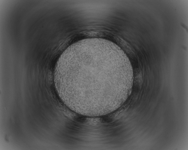X0000097510469200803201619