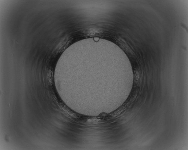 X0000097510470200803201619