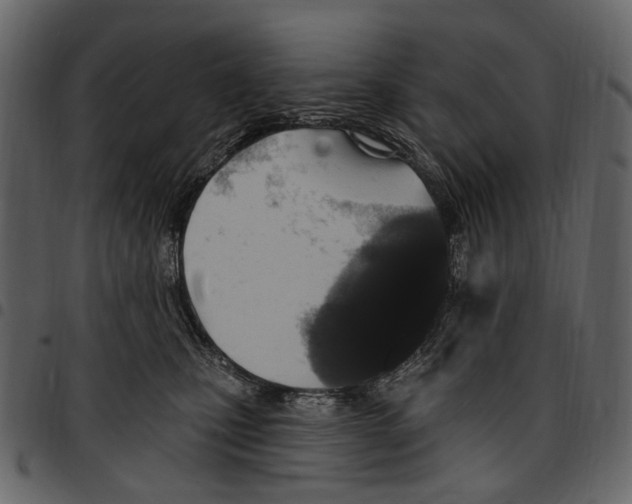 X0000097510471200803201619