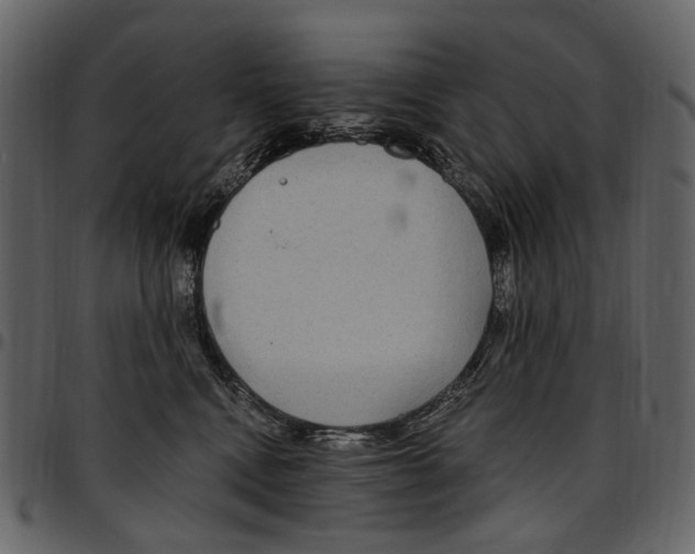 X0000097510472200803201619