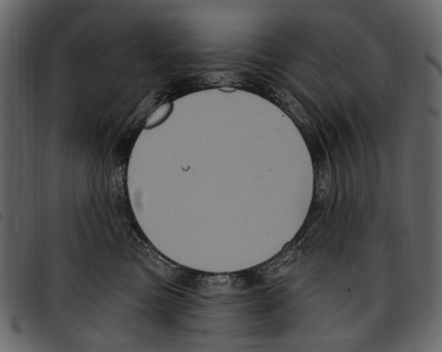 X0000097510473200803201619