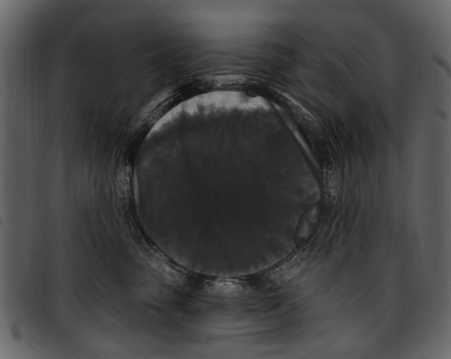 X0000097510475200803201619