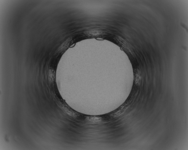 X0000097510476200803201619