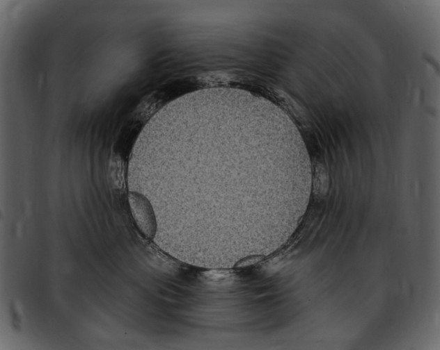 X0000097510477200803201619
