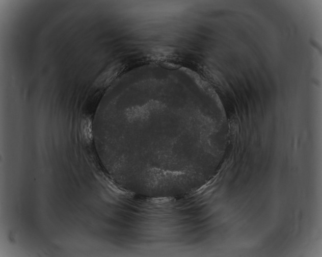 X0000097510479200803201619
