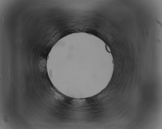 X0000097510480200803201619