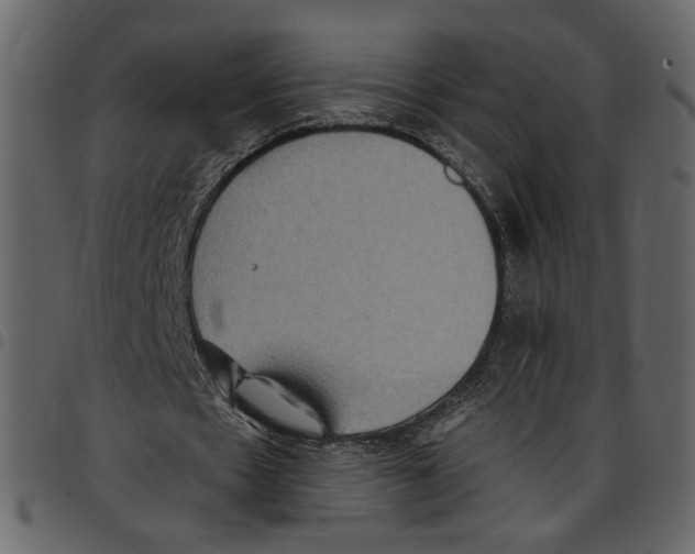 X0000097510481200803201618