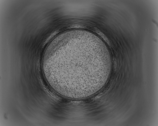 X0000097510482200803201618