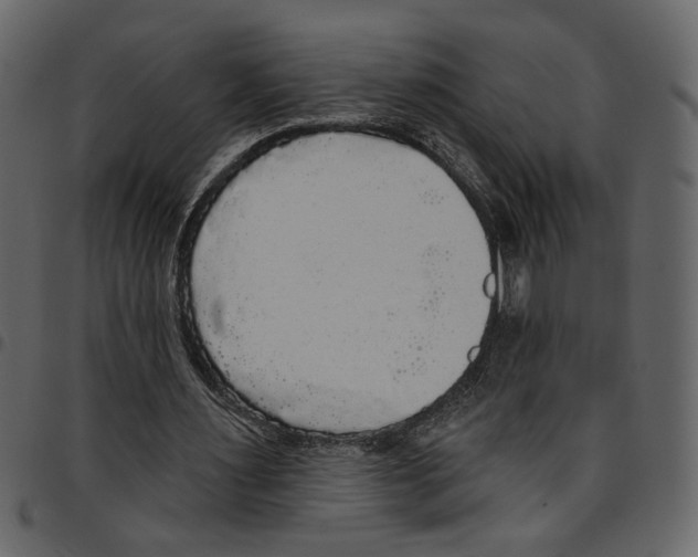 X0000097510483200803201618