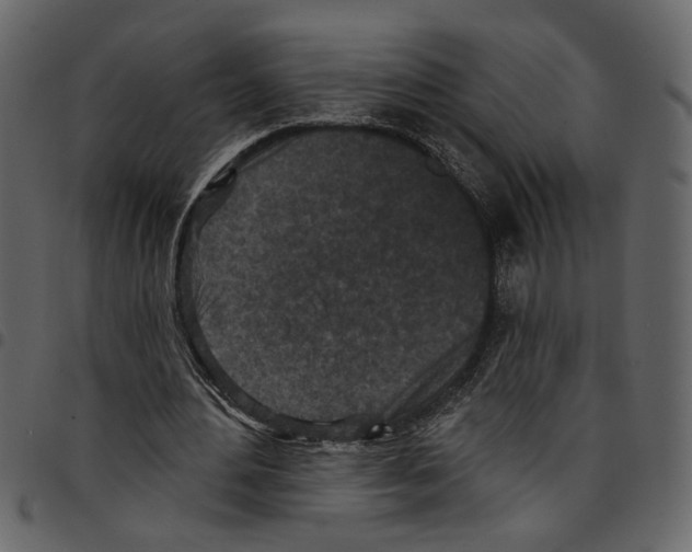 X0000097510484200803201618