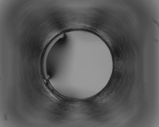 X0000097510485200803201618