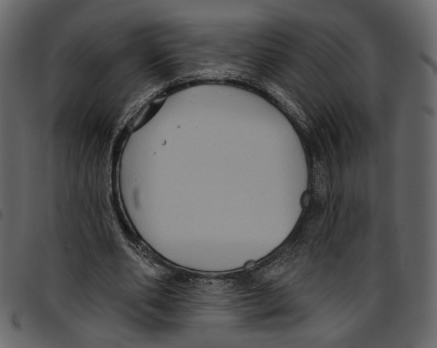 X0000097510486200803201618