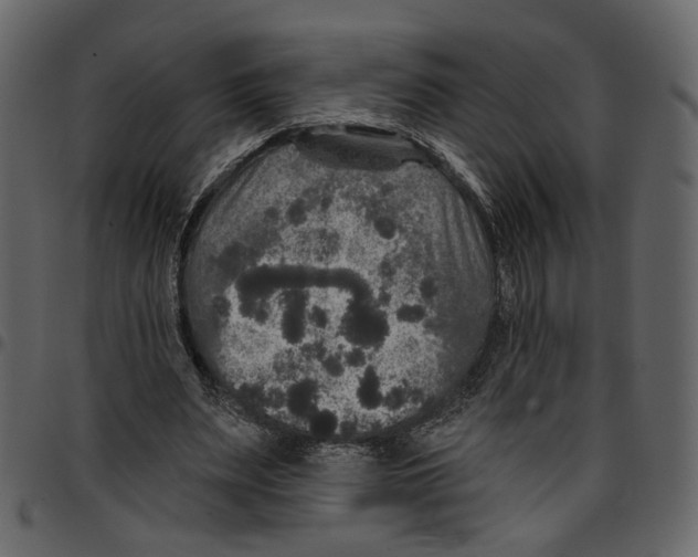 X0000097510487200803201618