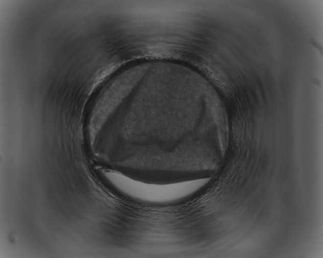 X0000097510488200803201618