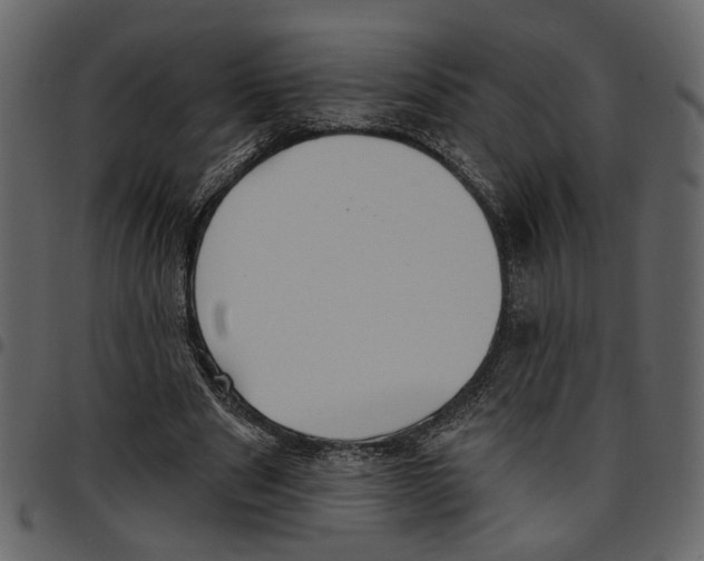 X0000097510489200803201618