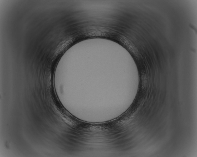 X0000097510490200803201618