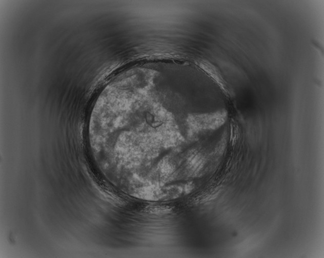X0000097510491200803201618