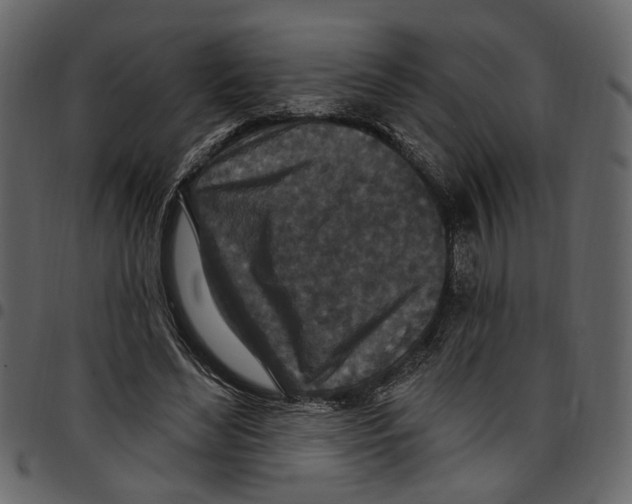 X0000097510492200803201618