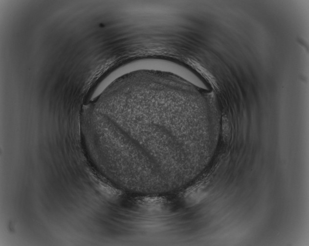 X0000097510493200803201618