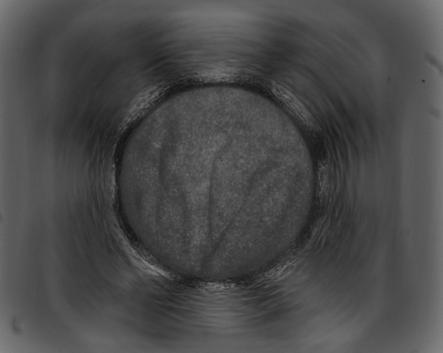 X0000097510494200803201618
