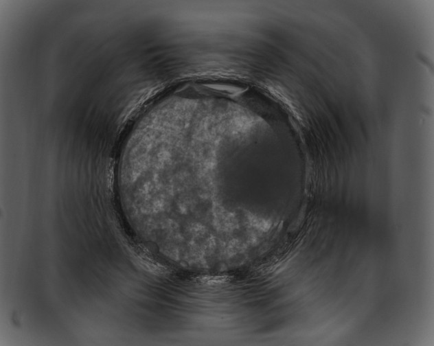 X0000097510495200803201618