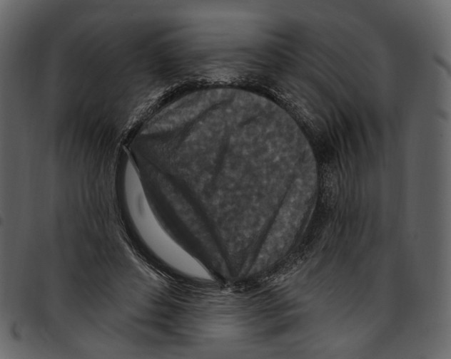 X0000097510496200803201618