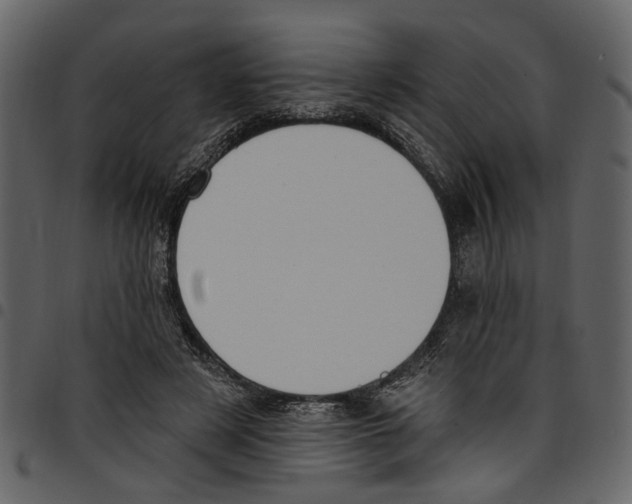 X0000097510497200803201618
