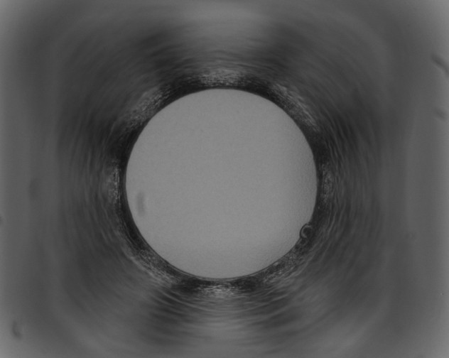 X0000097510498200803201618