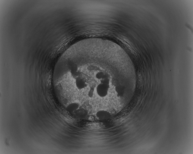 X0000097510499200803201618