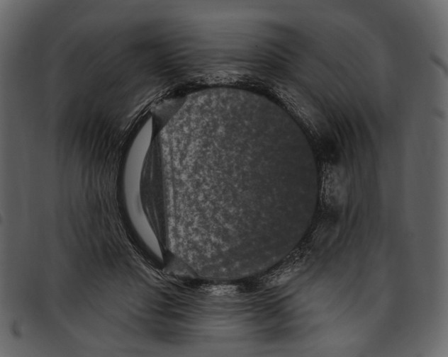 X0000097510501200803201618