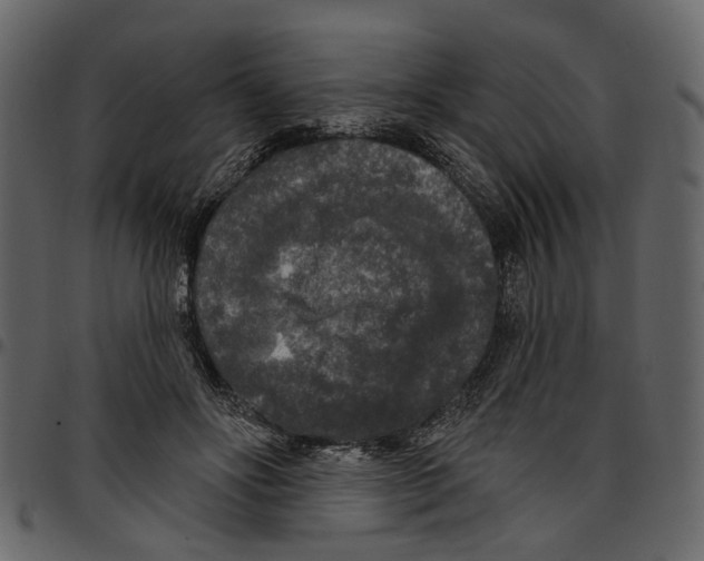 X0000097510502200803201618