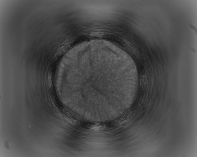 X0000097510504200803201618