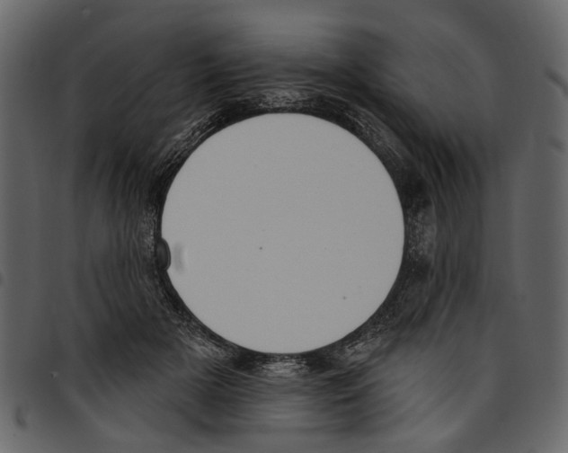 X0000097510505200803201618