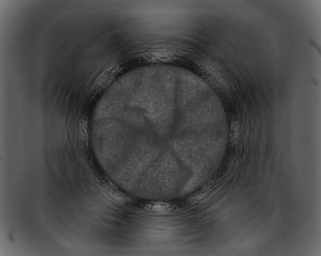 X0000097510506200803201618