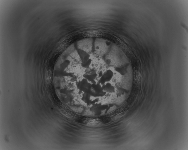 X0000097510507200803201618